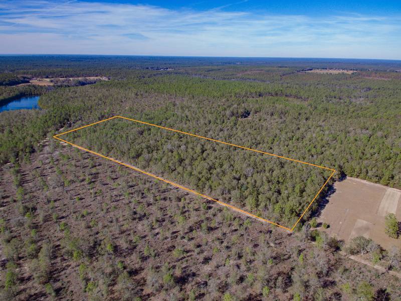 14.4 acres Poplar Head Church Road, Holt, FL 32564