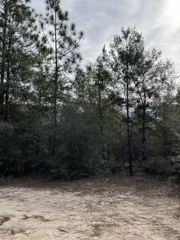 Defuniak Springs, FL 32433,TBD Puccini Drive