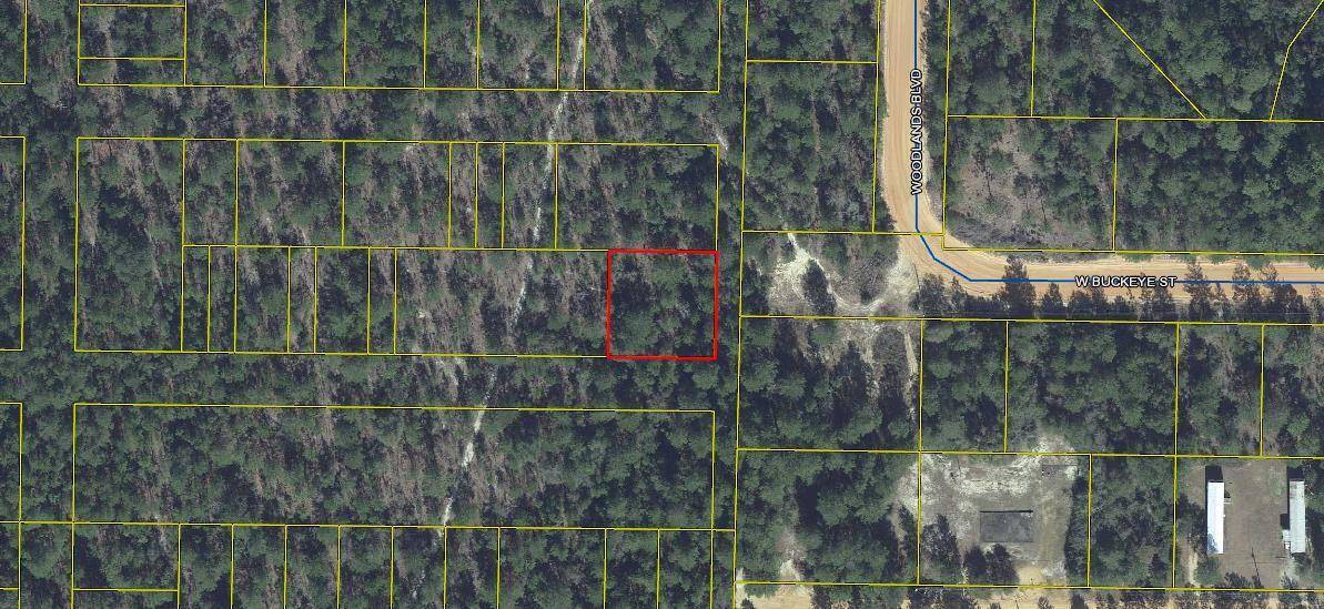 Lots 45-48 W Buckeye, Defuniak Springs, FL 32433