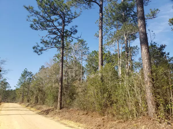 Crestview, FL 32539,11 Acres Lake Ella Road