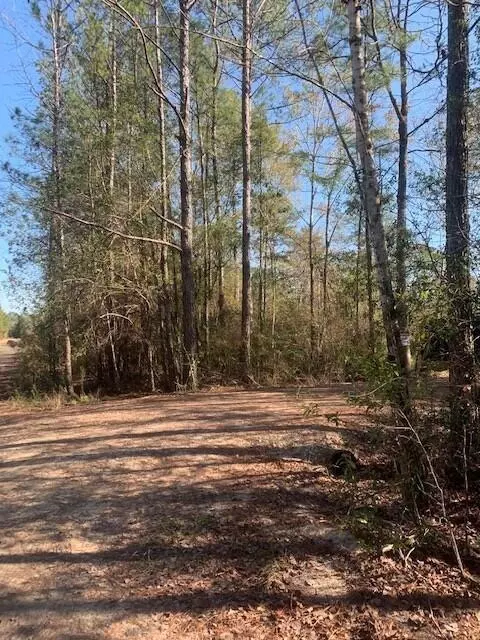 Crestview, FL 32539,3010 Sowell Drive