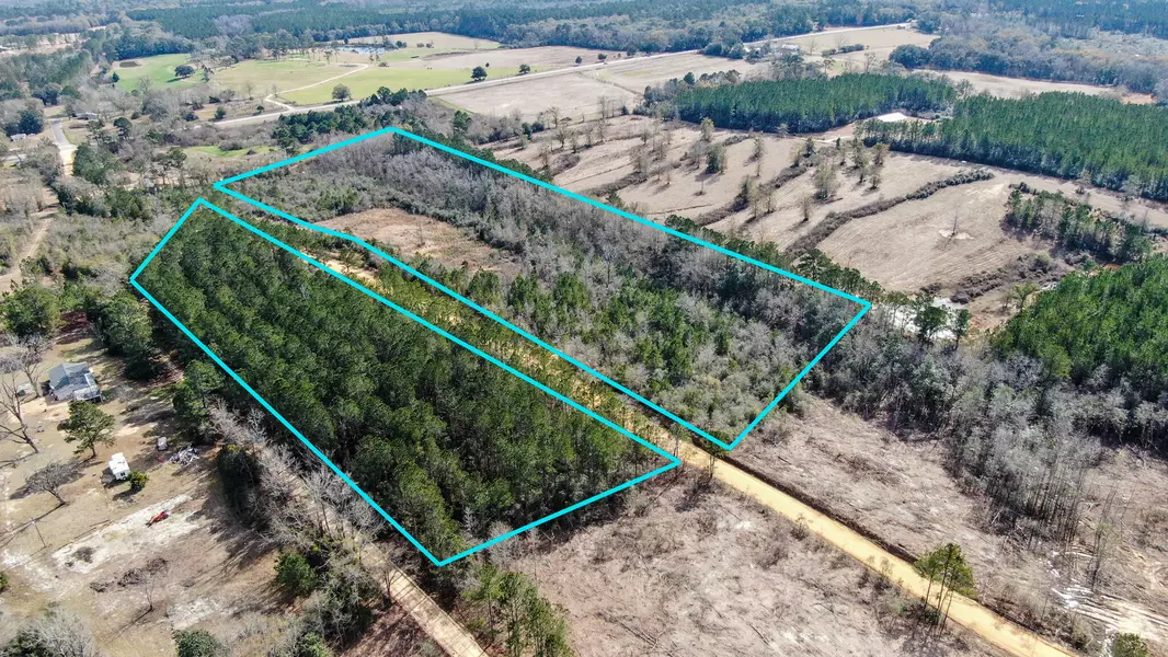 20 Acres Mitchell Road, Ponce De Leon, FL 32455