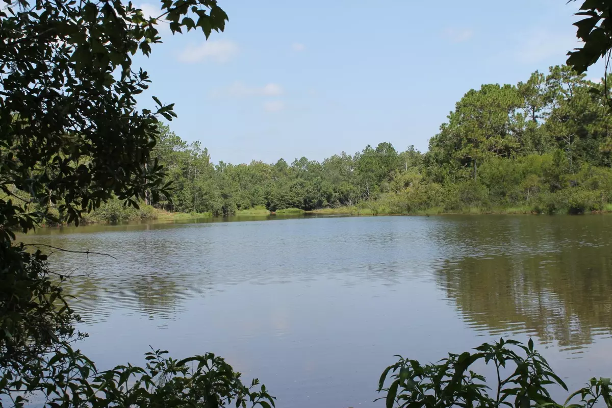 Crestview, FL 32539,20 +/- Ac Valley Rd Road