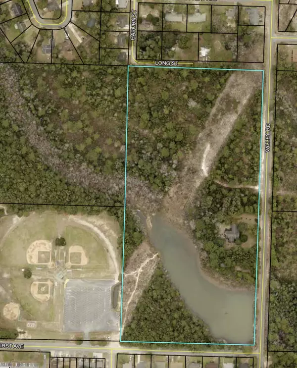 Crestview, FL 32539,20 +/- Ac Valley Rd Road