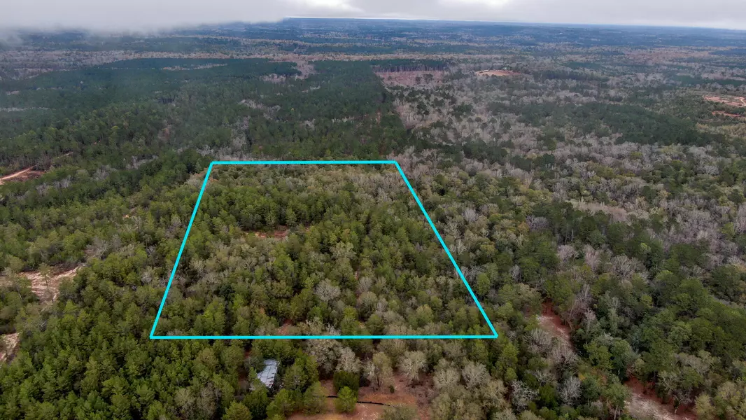 20 Acres Rock Hill Road, Defuniak Springs, FL 32433