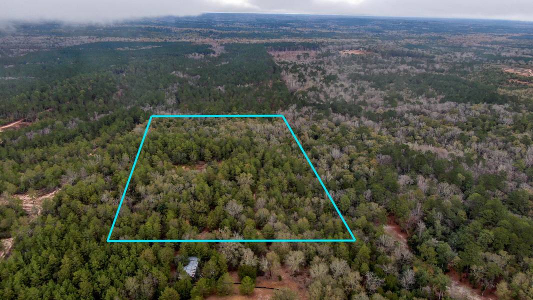 20 Acres Rock Hill Road, Defuniak Springs, FL 32433