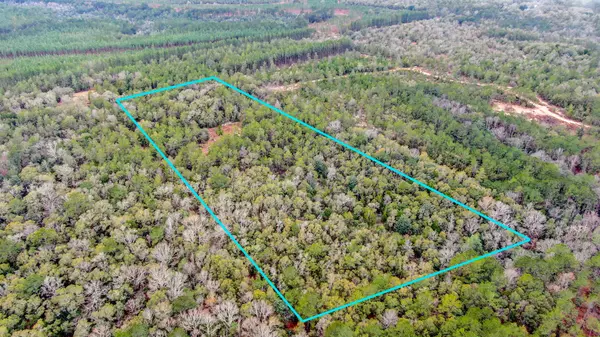 Defuniak Springs, FL 32433,20 Acres Rock Hill Road