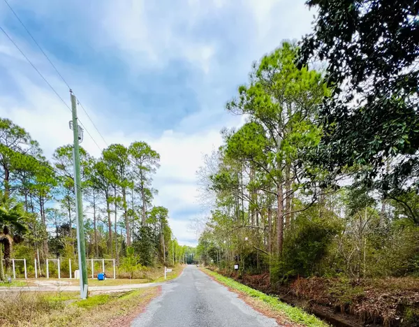 Santa Rosa Beach, FL 32459,18 N Eddy Lane  #LOT 18