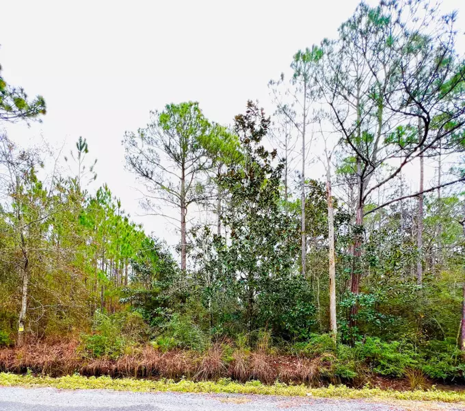 19 N Eddy Lane  #Lot 19, Santa Rosa Beach, FL 32459