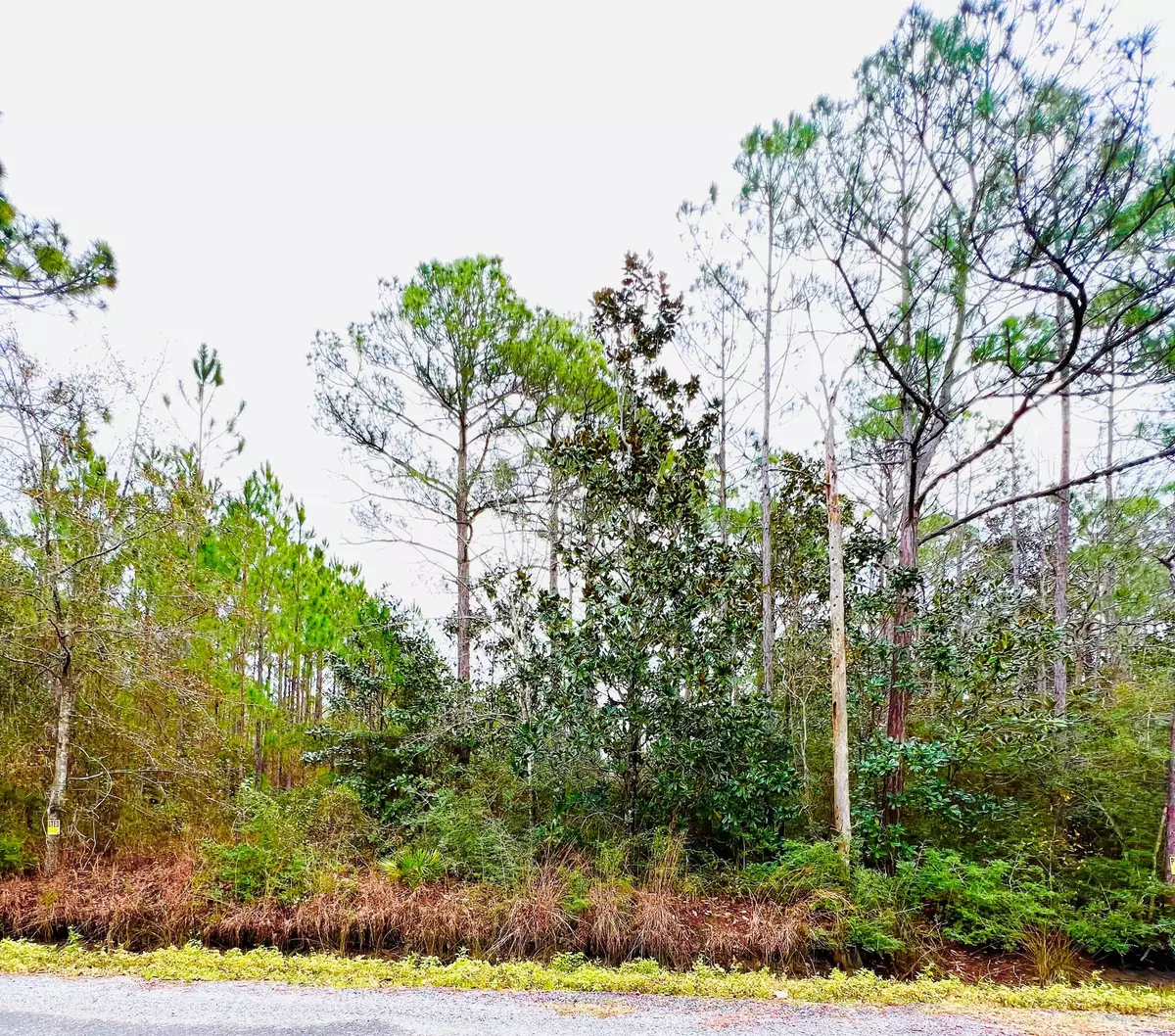 Santa Rosa Beach, FL 32459,19 N Eddy Lane  #Lot 19