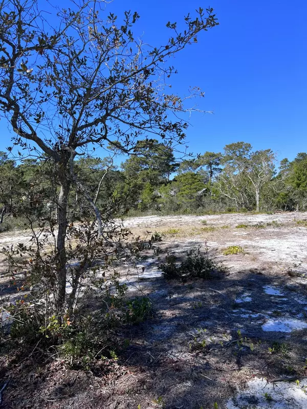 Santa Rosa Beach, FL 32459,LOT 16 Hillcrest Road