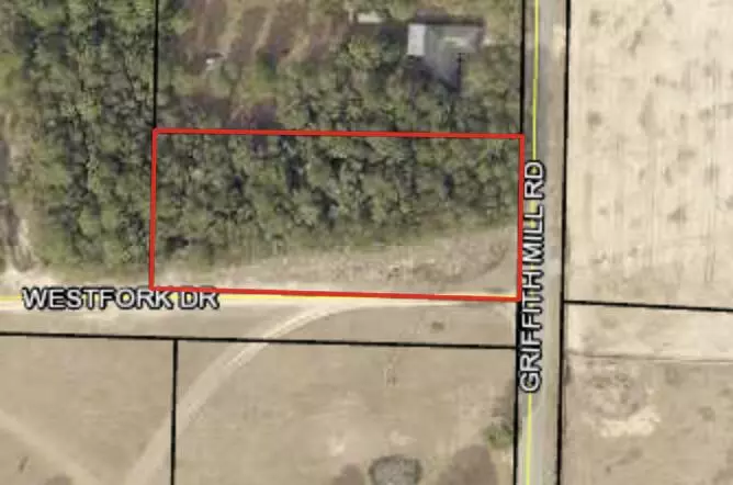 xxx Griffith Mill Road, Holt, FL 32564