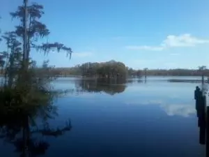 Chipley, FL 32428,000 Covington Place  #Lot 6