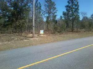 Chipley, FL 32428,000 Covington Place  #Lot 6