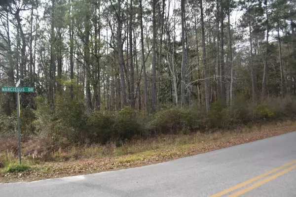 Freeport, FL 32439,Lot 18 B Shoreline Drive