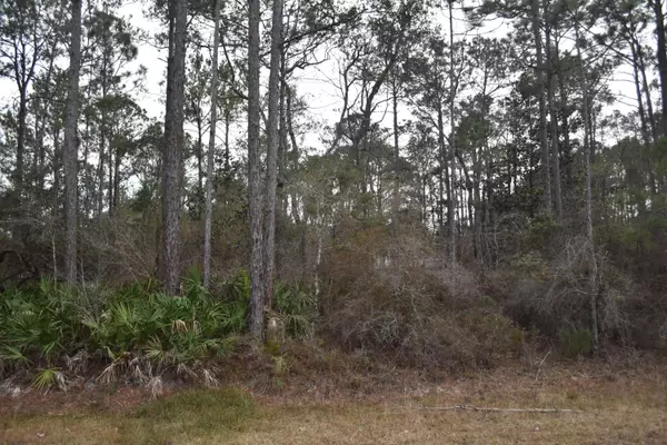 Freeport, FL 32439,Lot 21D Shoreline Drive