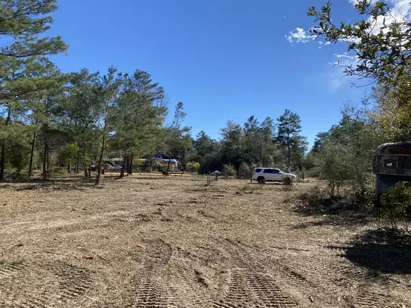 Defuniak Springs, FL 32433,Lot 14 Mint Street