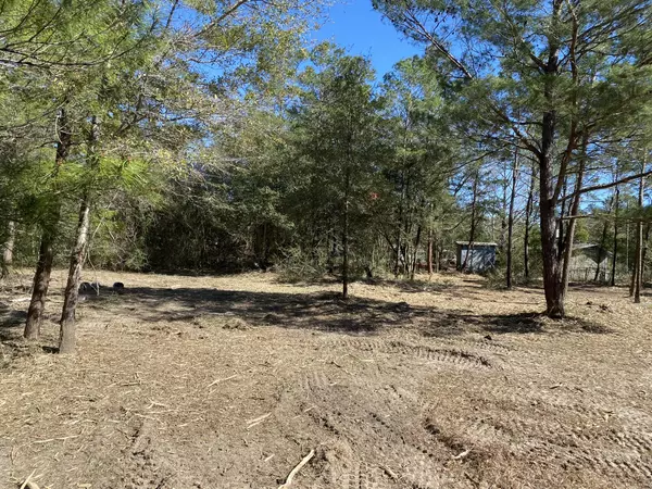 Defuniak Springs, FL 32433,Lot 14 Mint Street