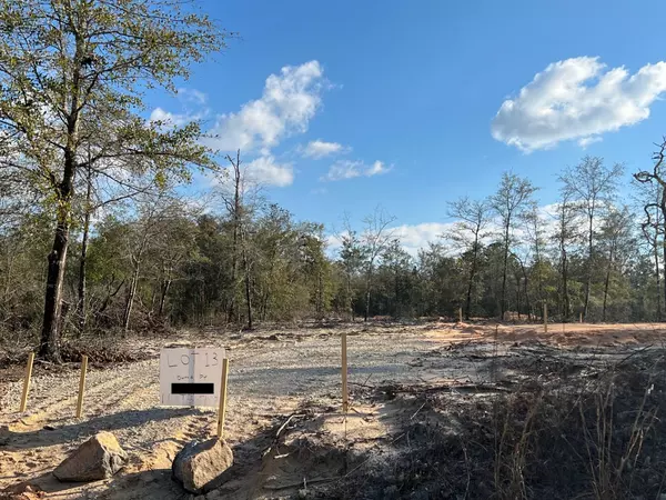 Defuniak Springs, FL 32433,Lot 13 E Dogwood Avenue