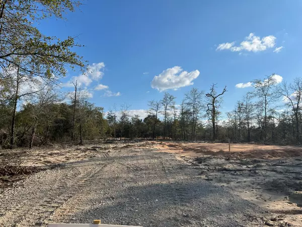 Defuniak Springs, FL 32433,Lot 13 E Dogwood Avenue