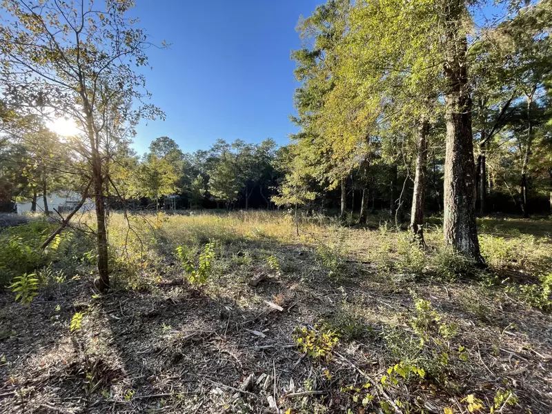 LOT 11 Florida Place, Freeport, FL 32439