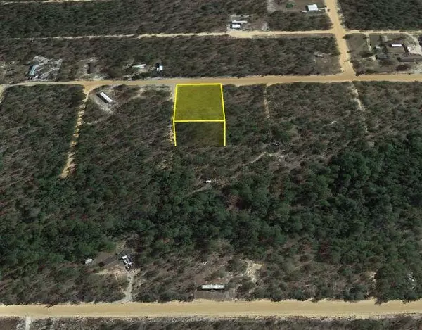 Defuniak Springs, FL 32433,0 Bik Berry Court