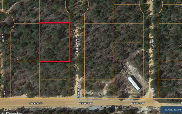 Defuniak Springs, FL 32433,0 Bik Berry Court