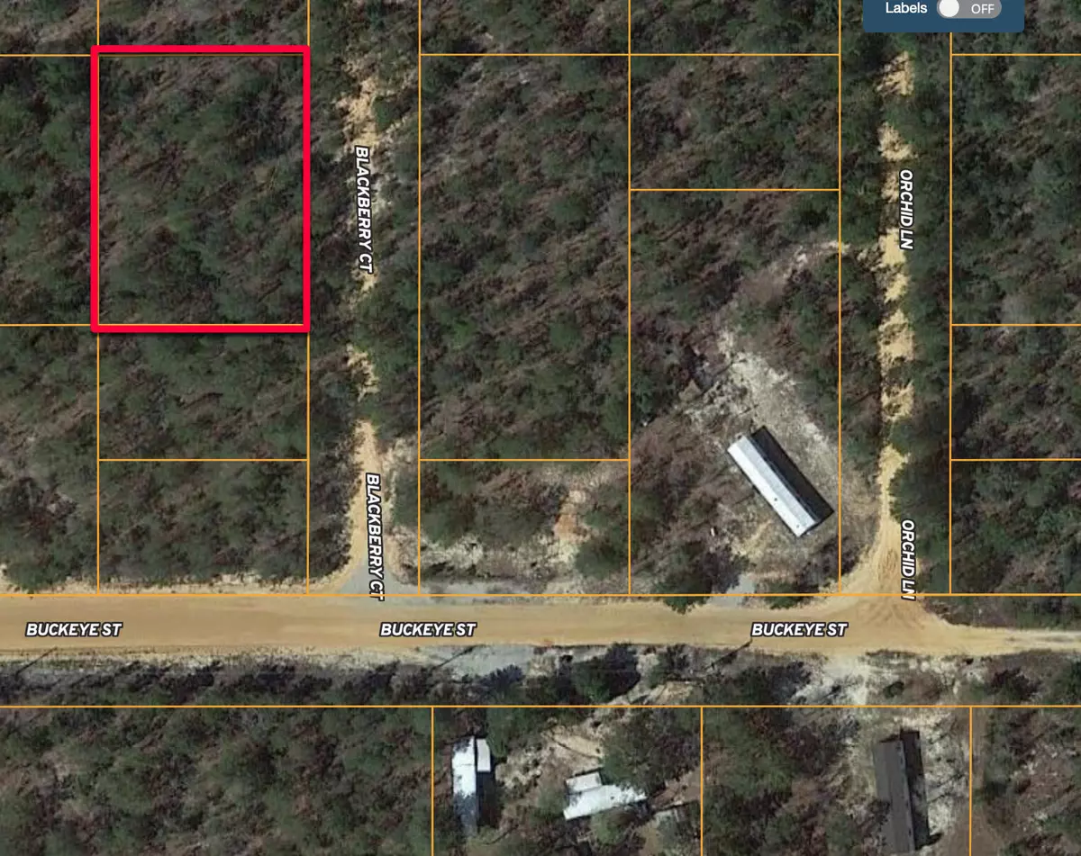 Defuniak Springs, FL 32433,0 Bik Berry Court