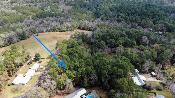 Defuniak Springs, FL 32435,.74 Lot Teelinville Drive