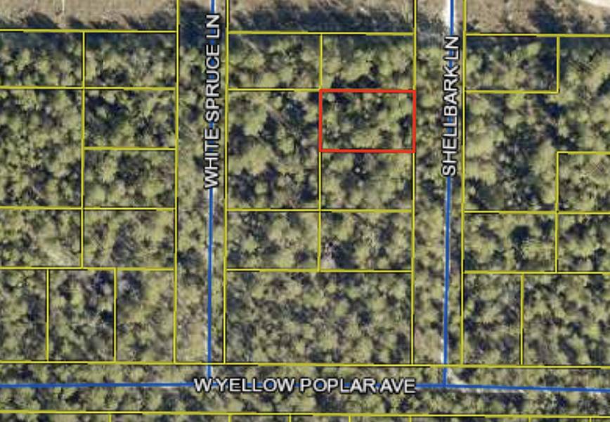 TBD Shellbark Lane, Defuniak Springs, FL 32433