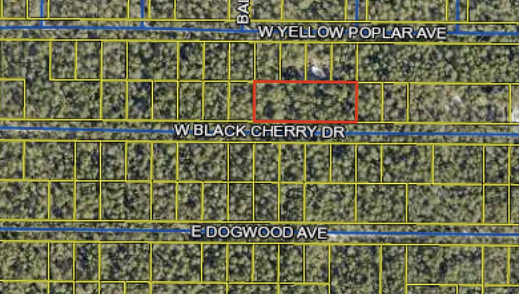 LOT 43 W Black Cherry Drive, Defuniak Springs, FL 32433