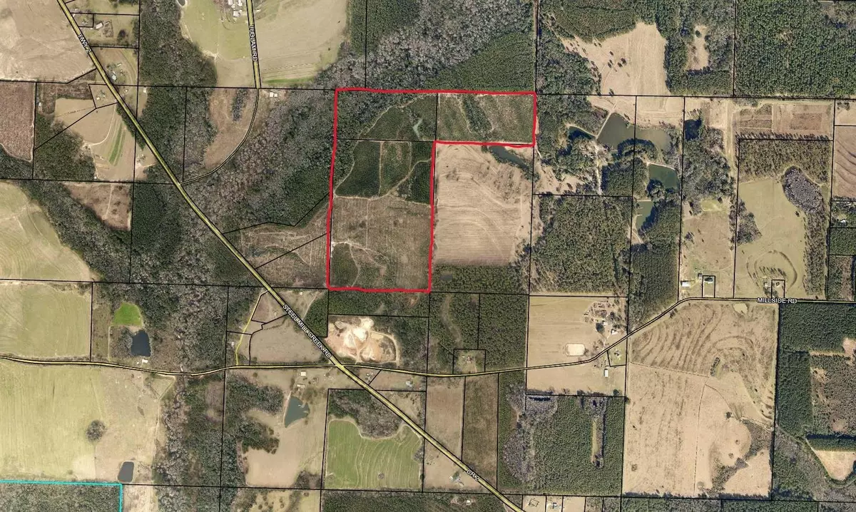 Laurel Hill, FL 32567,100 Acres Steel Mill Creek Road