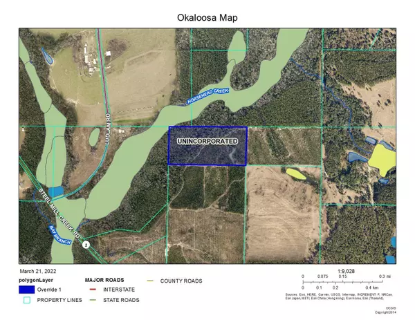 Laurel Hill, FL 32567,100 Acres Steel Mill Creek Road