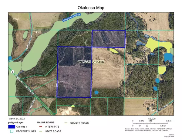 Laurel Hill, FL 32567,100 Acres Steel Mill Creek Road