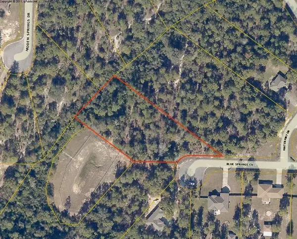 1.44 Acres Blue Springs, Baker, FL 32531