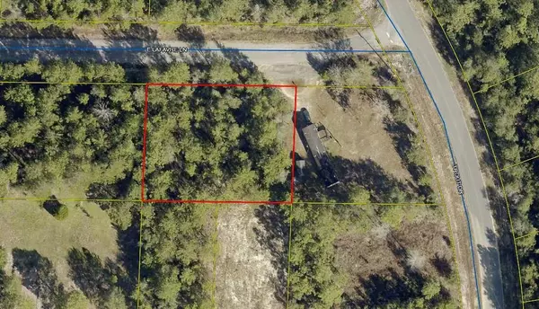 Lots 19/20 Lafavre Lane E, Defuniak Springs, FL 32433