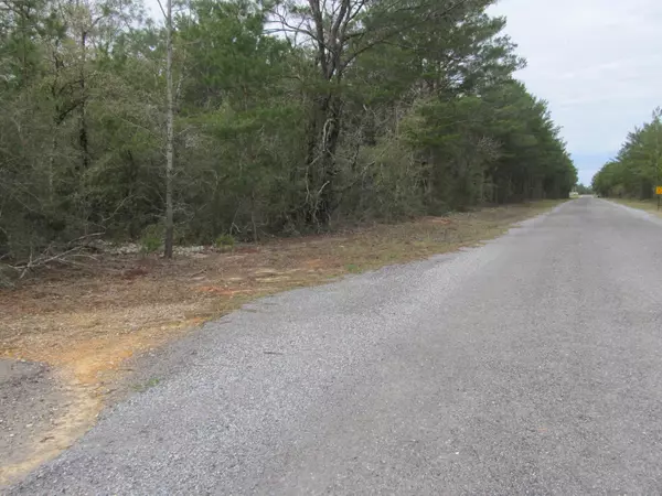 Defuniak Springs, FL 32433,Lots 19/20 Lafavre Lane E