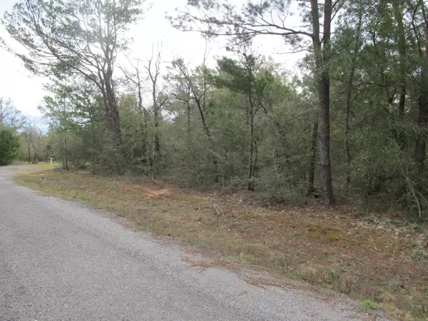 Defuniak Springs, FL 32433,Lots 19/20 Lafavre Lane E