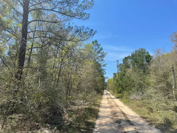 Defuniak Springs, FL 32433,0 Grass Road