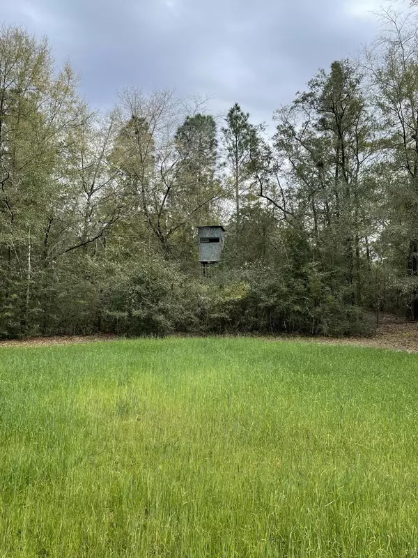 Crestview, FL 32539,3826 Bear Head Road