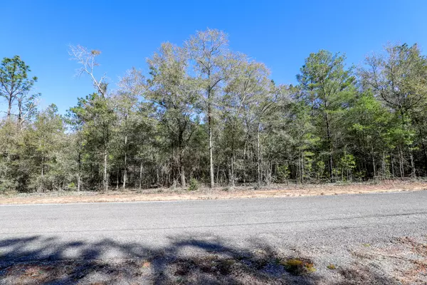 Defuniak Springs, FL 32433,000 E Sussex Drive  #LOT 14