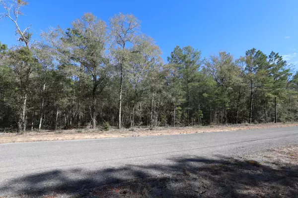 Defuniak Springs, FL 32433,000 E Sussex Drive  #LOT 14