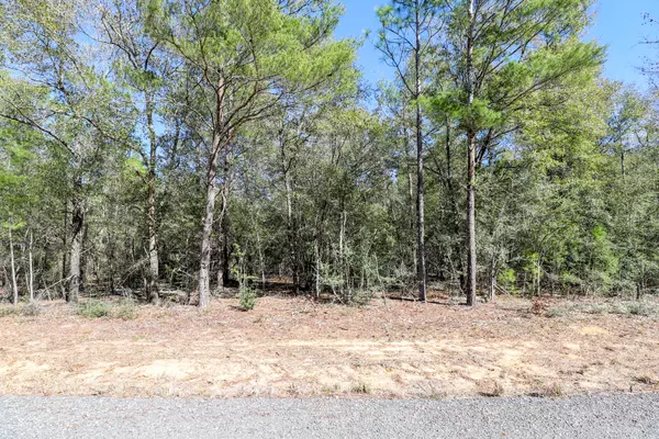 Defuniak Springs, FL 32433,000 E Sussex Drive  #LOT 14