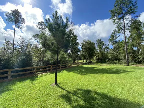 Laurel Hill, FL 32567,116+/- AC Caveman Road