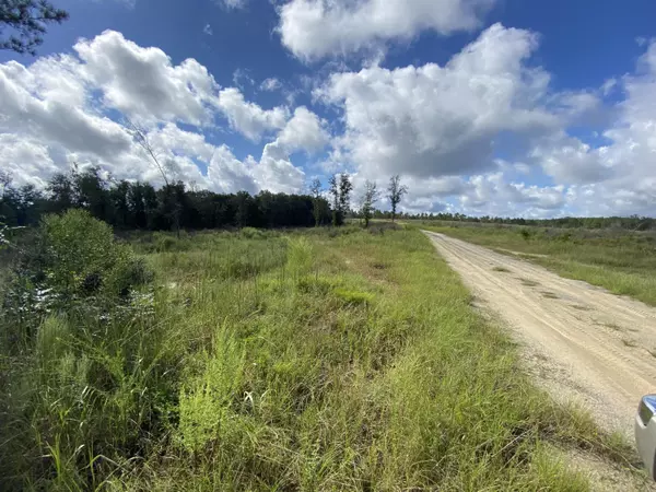 Laurel Hill, FL 32567,116+/- AC Caveman Road