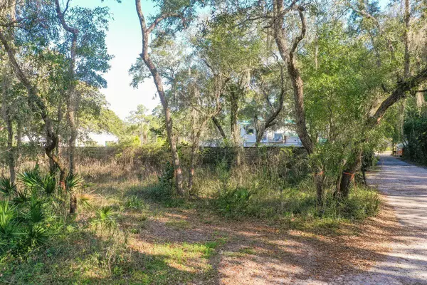 Santa Rosa Beach, FL 32459,Lot 9 Grayton Trails Road