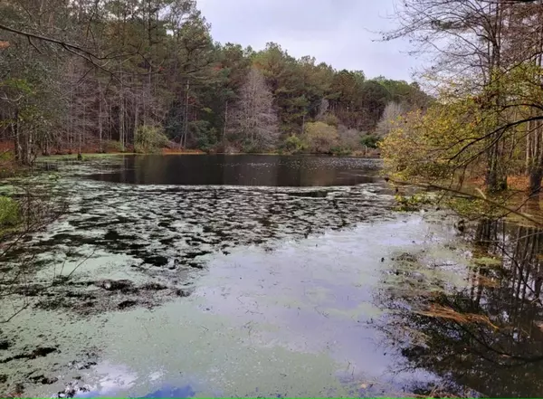 Laurel Hill, FL 32567,8402 HWY 85