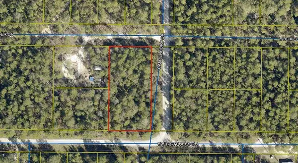 Defuniak Springs, FL 32433,LOT 28 Bonita Drive