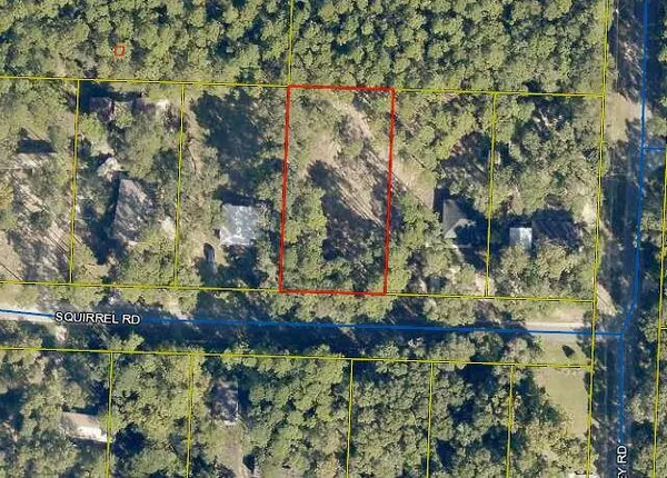 Defuniak Springs, FL 32433,LOT 3 Squirrel Rd