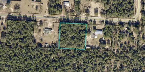 1 Acre Golden Acres Circle, Crestview, FL 32539